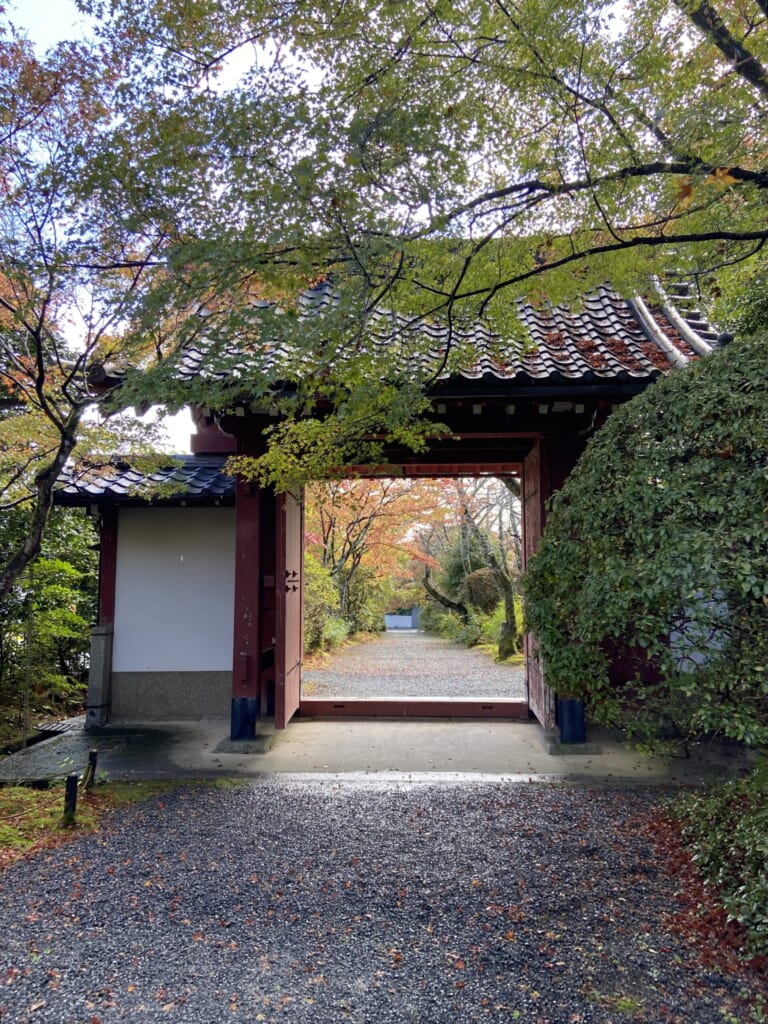 もみじの枝越しに見る常照寺の吉野門。門の向こうに紅葉の参道が続く
