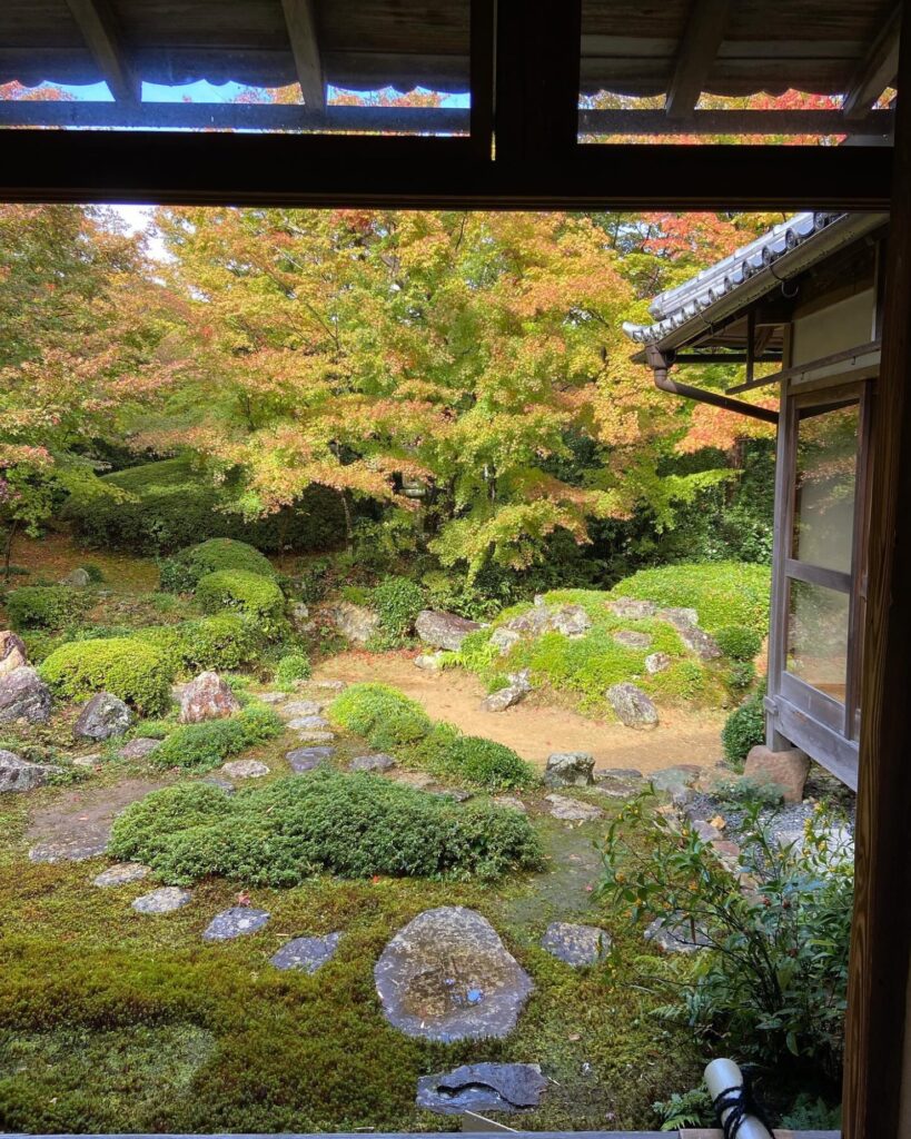 源光庵の書院から見る庭。苔と石、色づいた紅葉