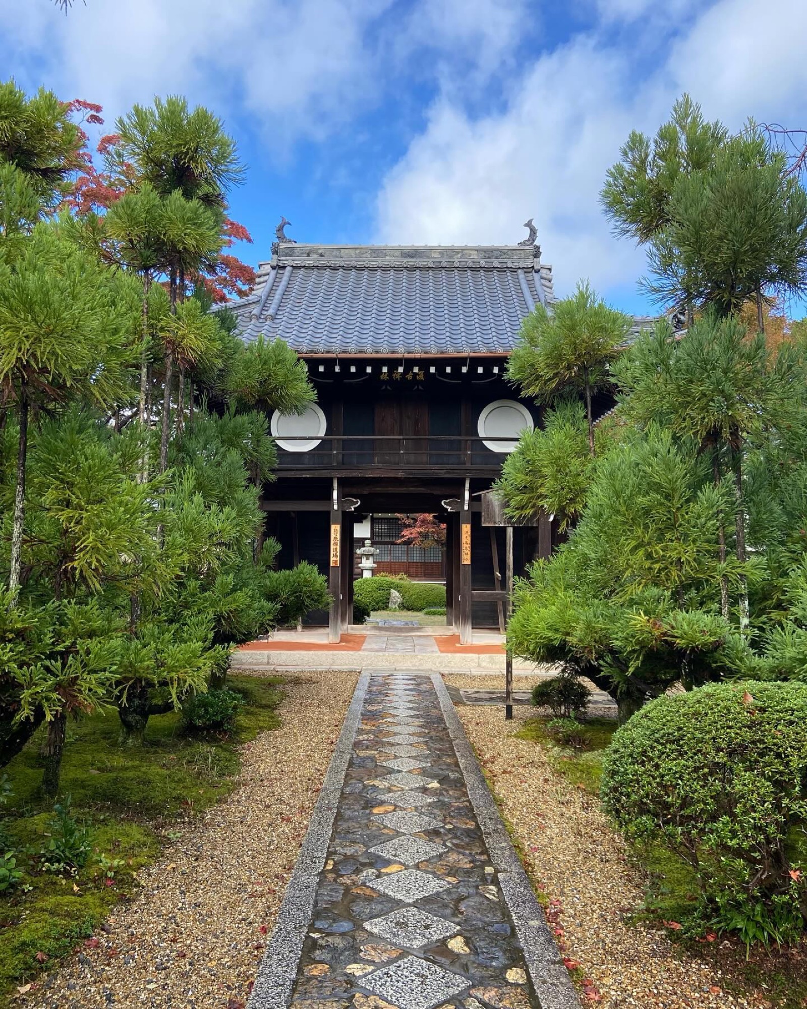 源光庵の山門と石畳の参道。刈り込まれた松と、色づきはじめた紅葉