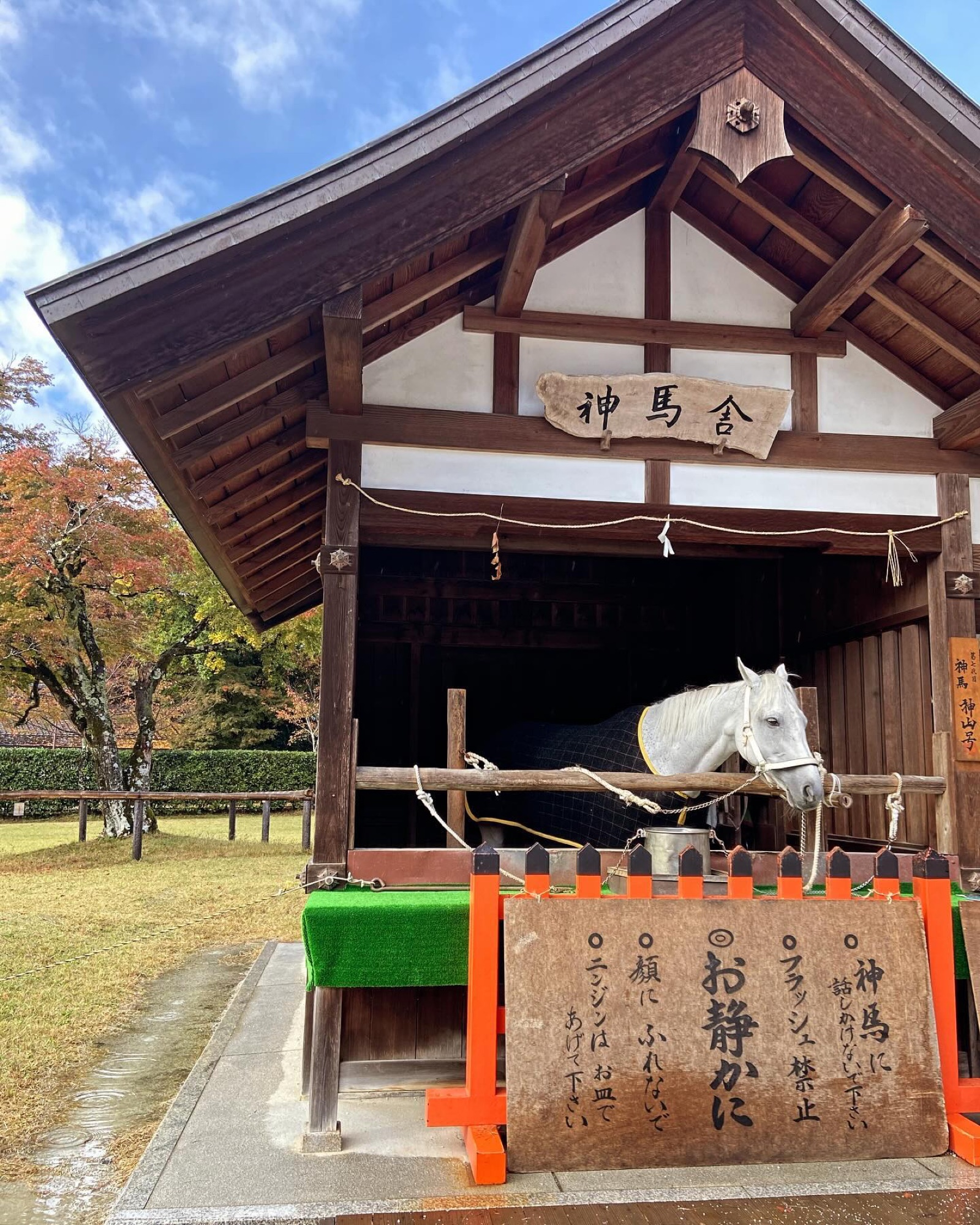 上賀茂神社の神馬舎と神馬「神山号」。「お静かに」の注意書きが立つ
