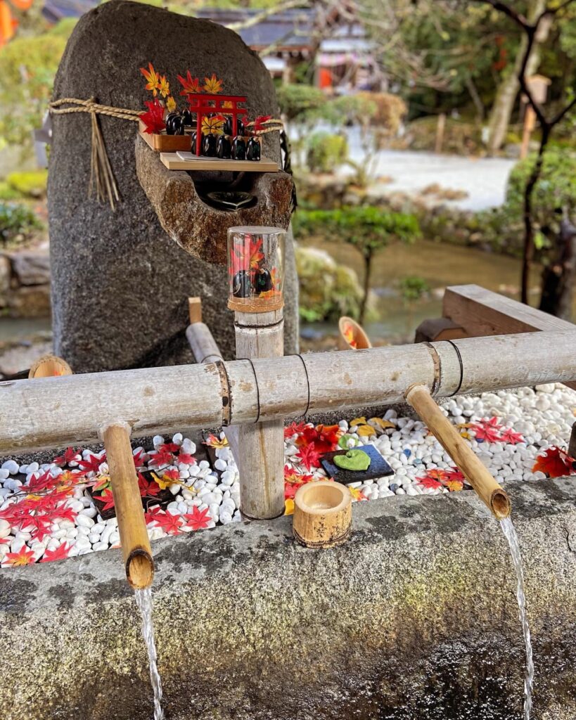 上賀茂神社の手水舎。紅葉を浮かべた花手水と、竹の樋から落ちる水