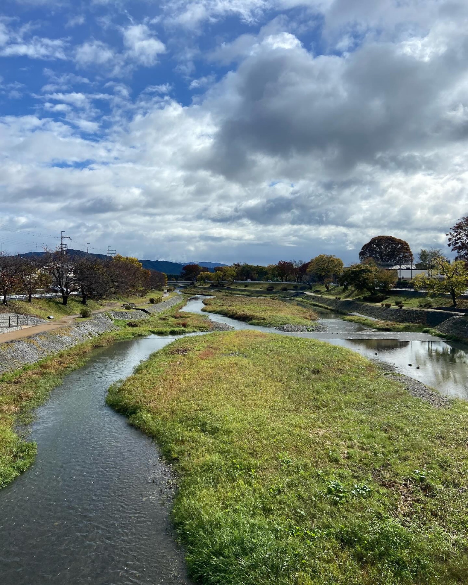 御園橋から見た賀茂川。中洲の草と、遠くに北山