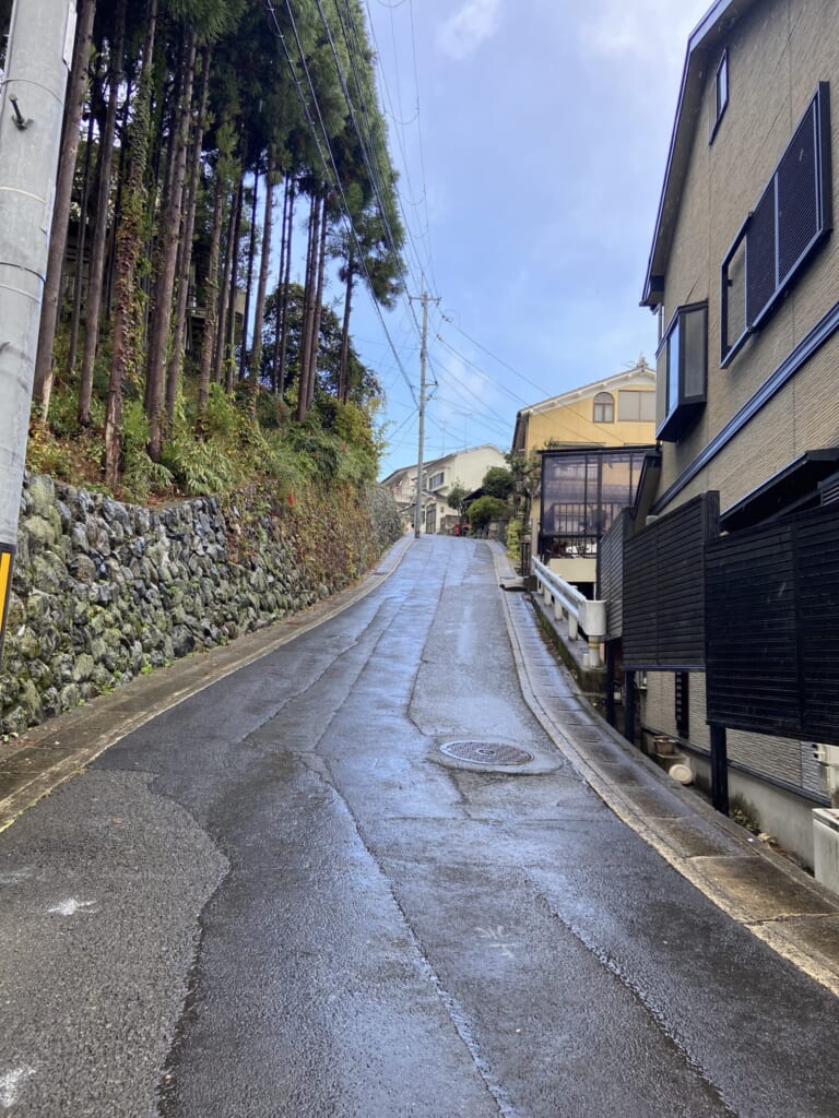 雨上がりの鷹峯へ上る坂道。左手に石垣と杉木立、右手に住宅が並ぶ