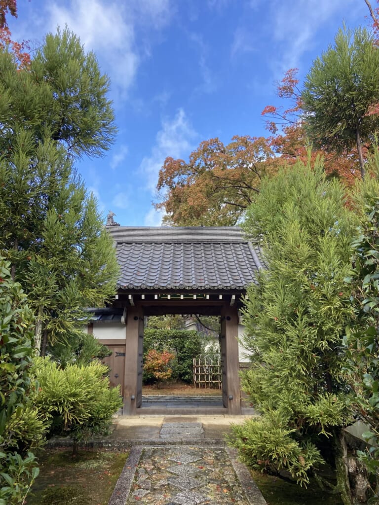 松の緑と紅葉に挟まれた源光庵の門。石畳の小道が門へ続く