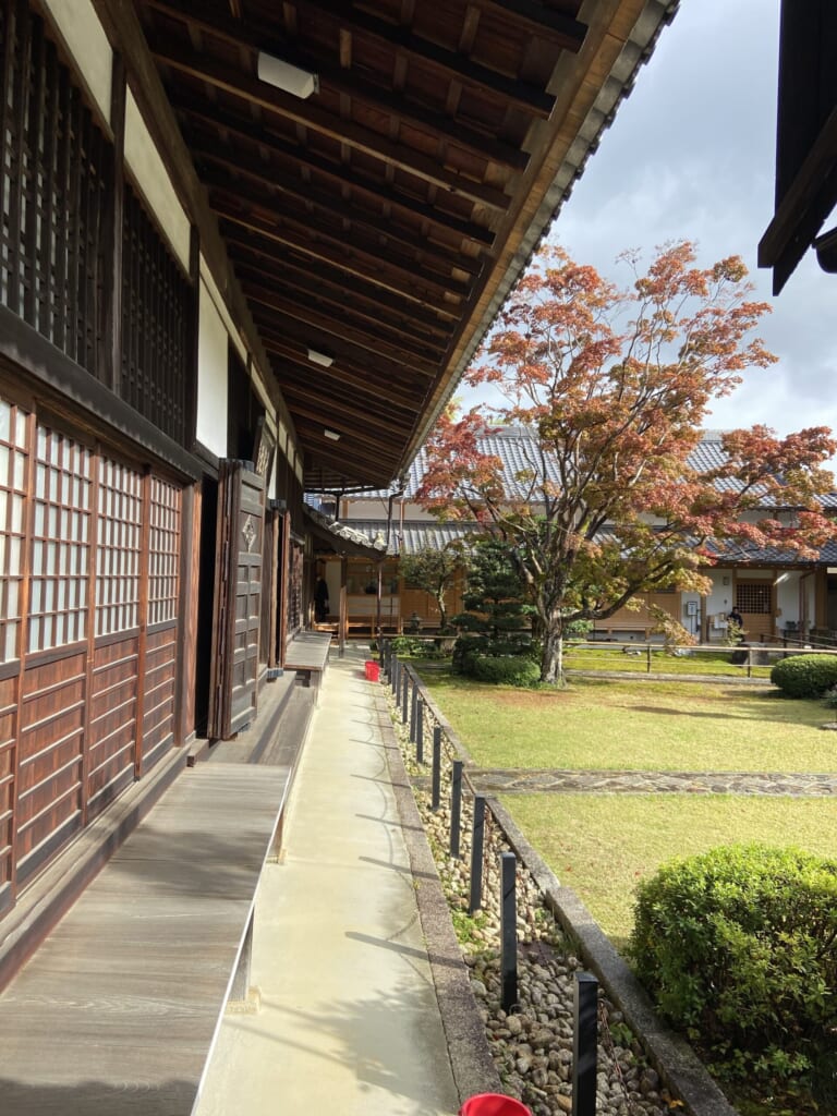 源光庵本堂の縁側と中庭。格子戸の続く軒下の向こうで、もみじが赤く色づく