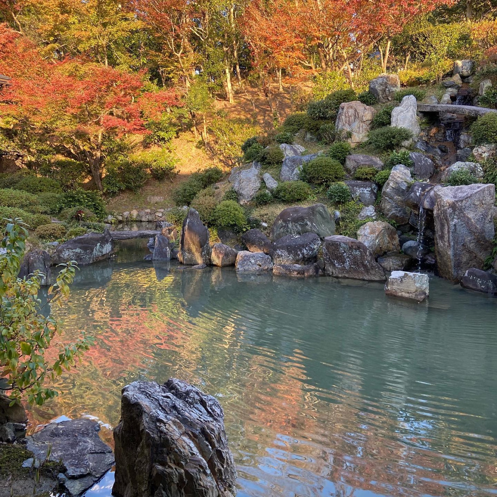 智積院の名勝庭園、池と石組みと紅葉