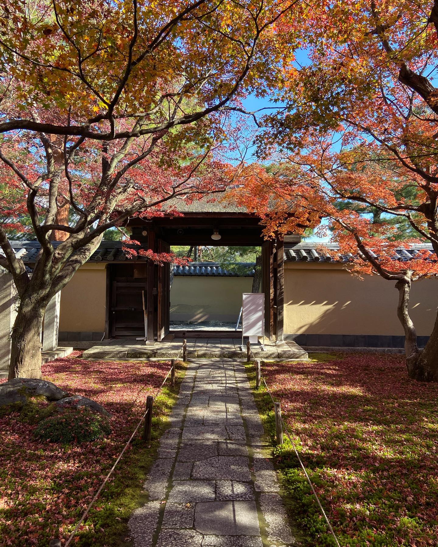 黄梅院の参道、紅葉の下を内門へ