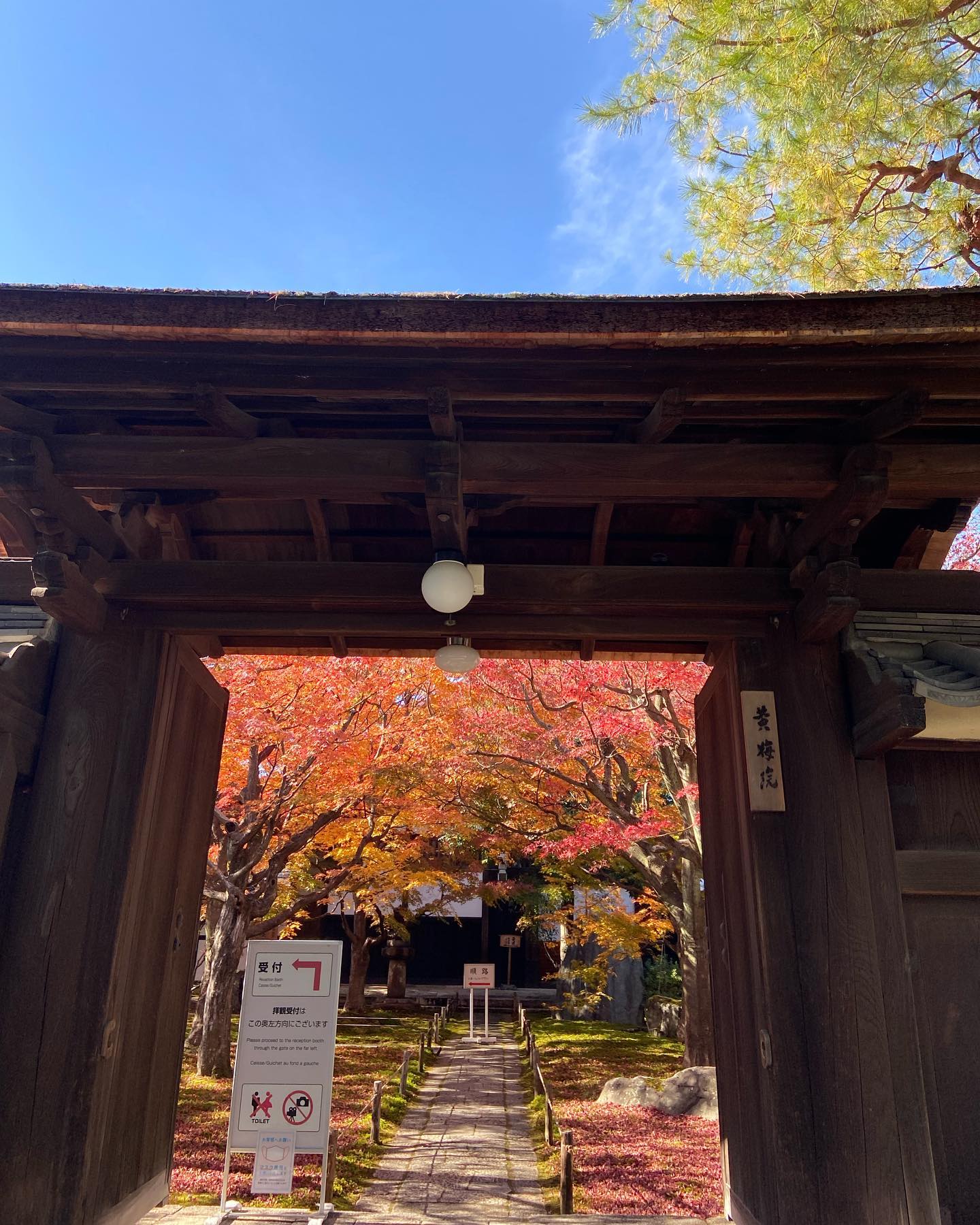 黄梅院の門越しに見える紅葉の参道