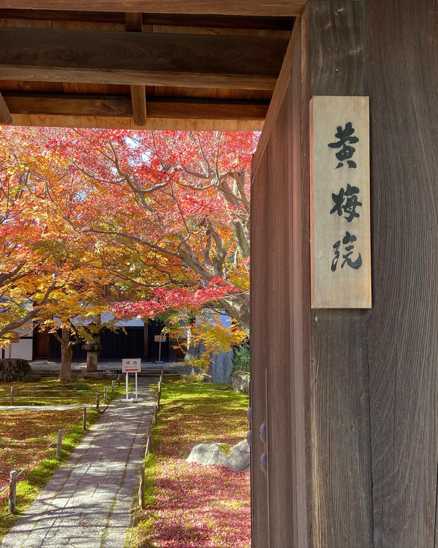 黄梅院の門札と紅葉の参道