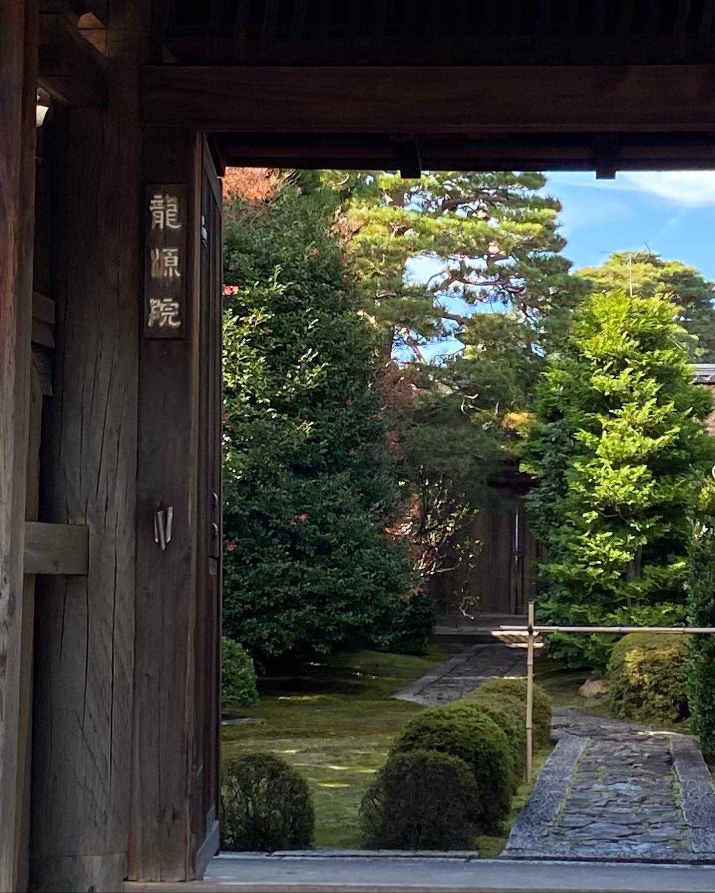 龍源院の表門から見る苔の庭と参道