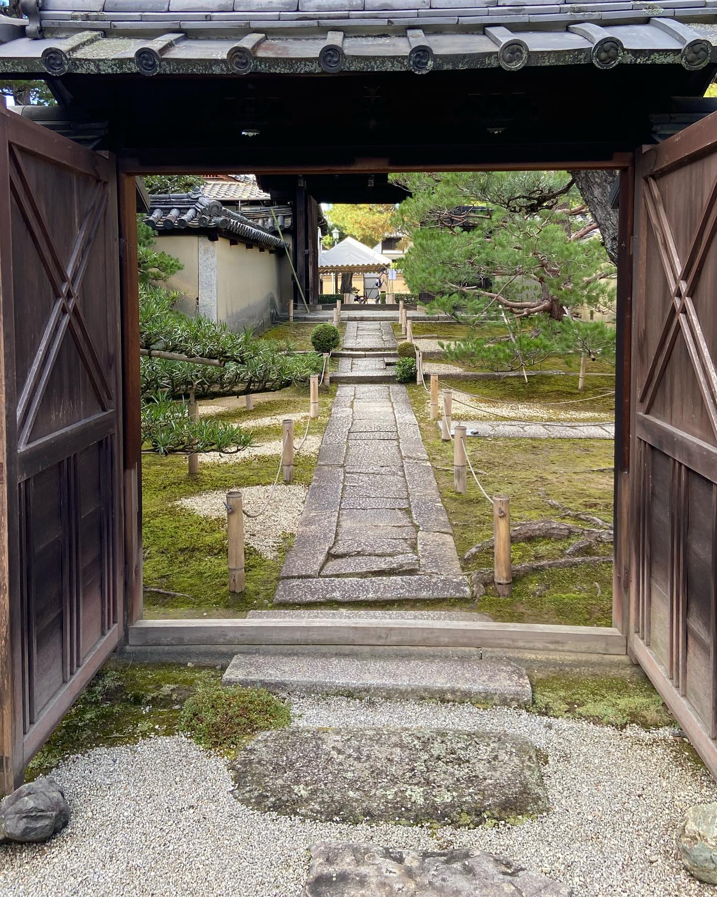 大徳寺の塔頭の門の奥へ続く石畳と苔