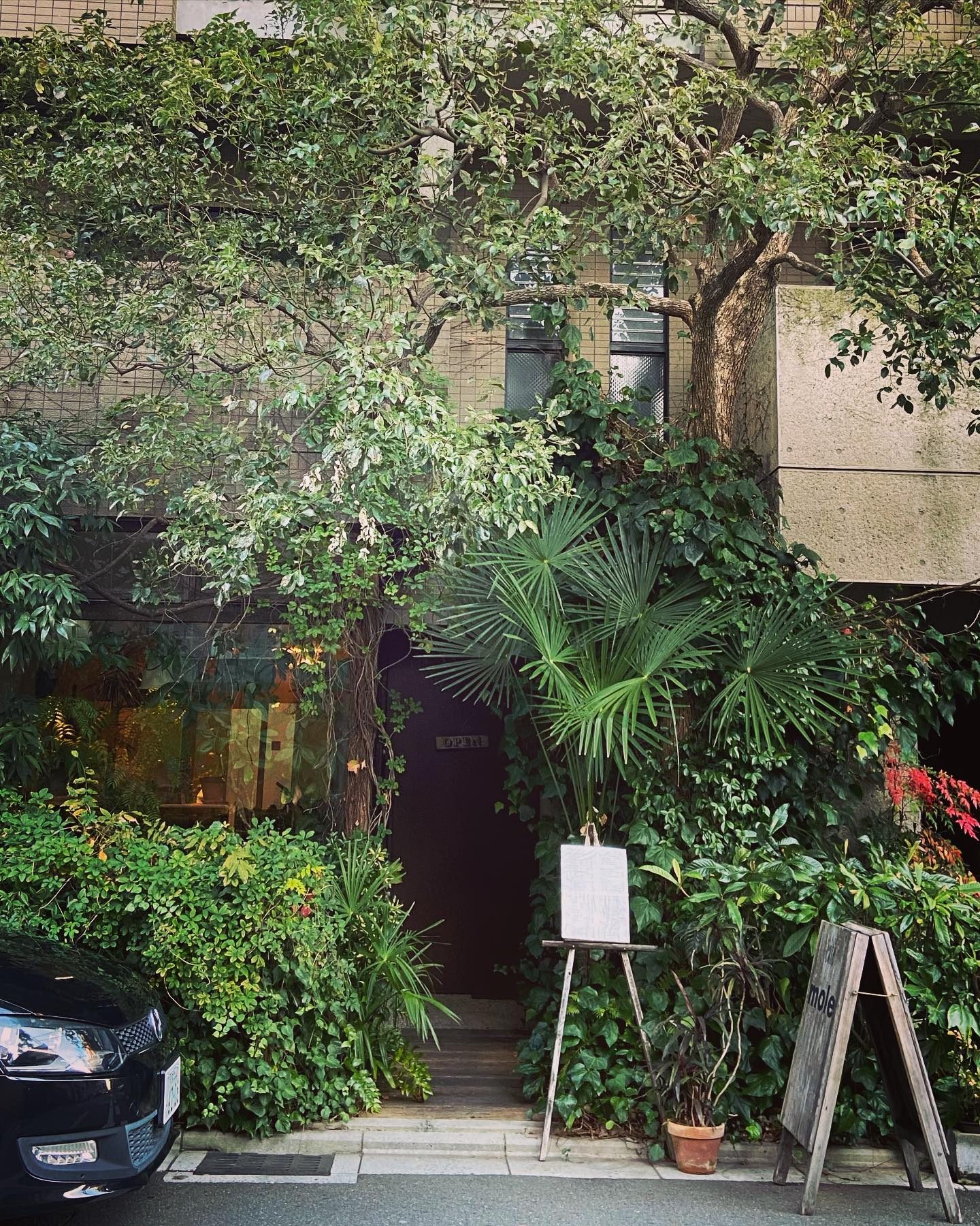 御幸町通の緑におおわれたカフェ「cafe mole」。『京都人の密かな愉しみ Rouge−継承−』のバー「Forest Down」の外観