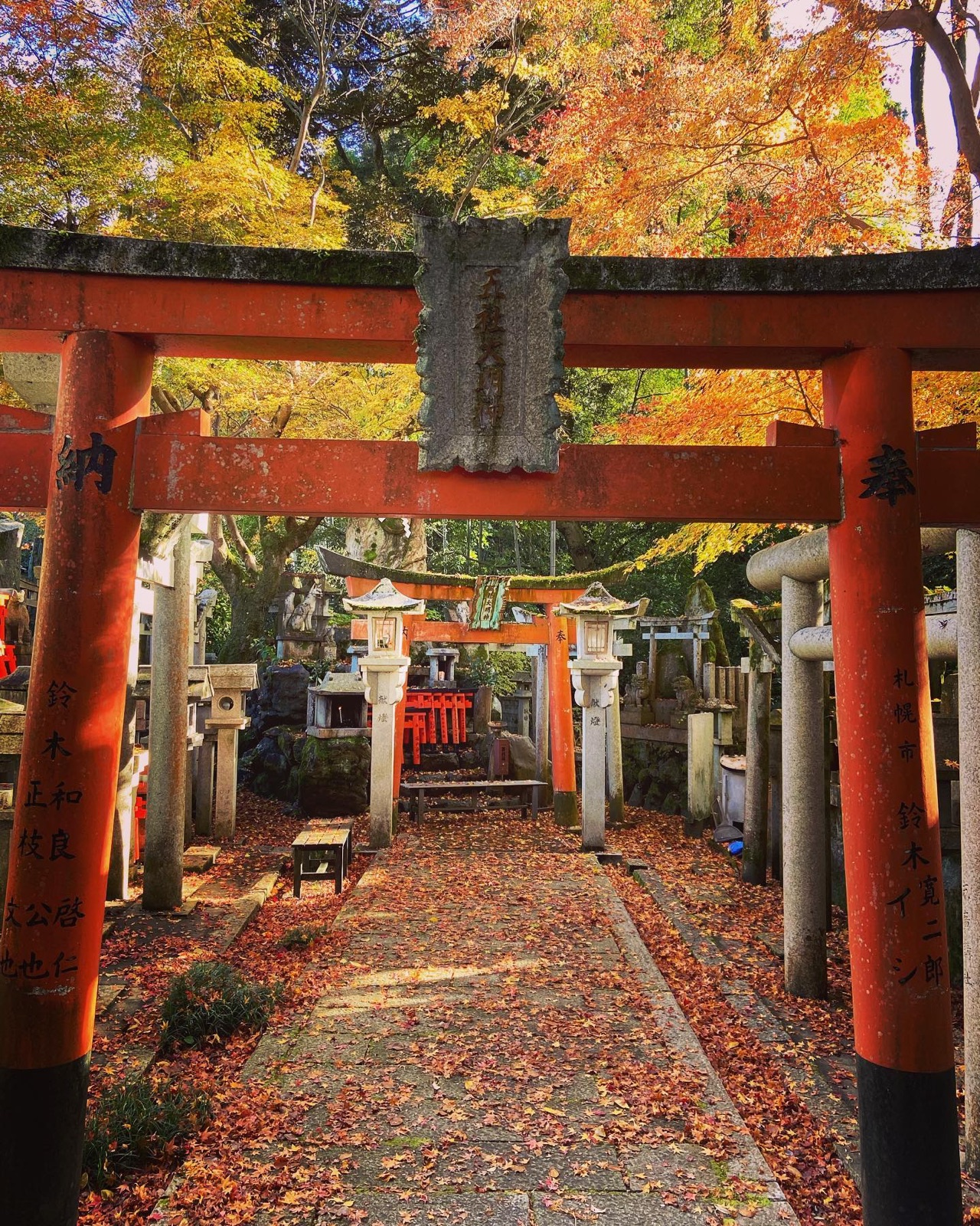 五社之瀧神社の朱の鳥居と、散り紅葉の参道