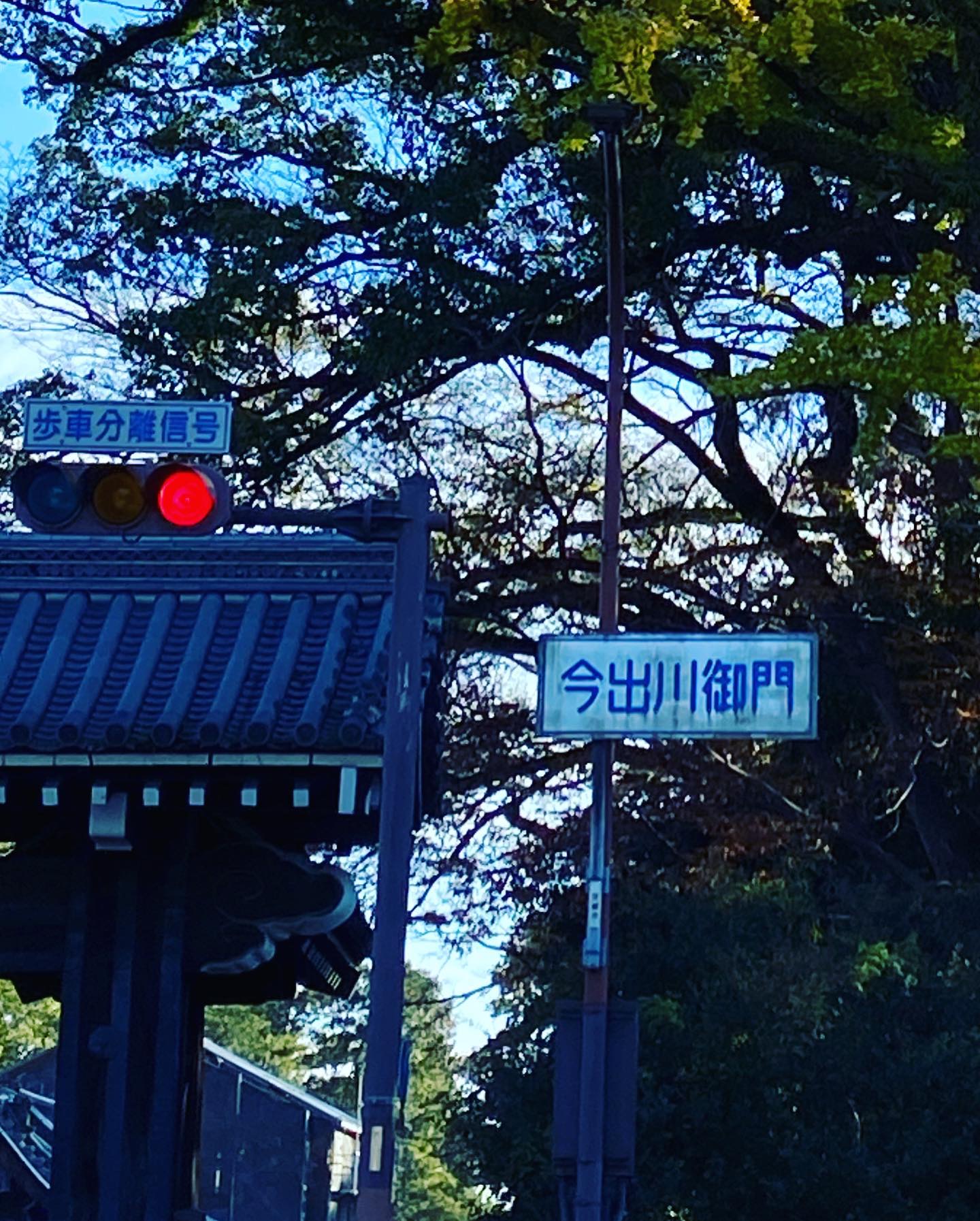京都御苑の今出川御門