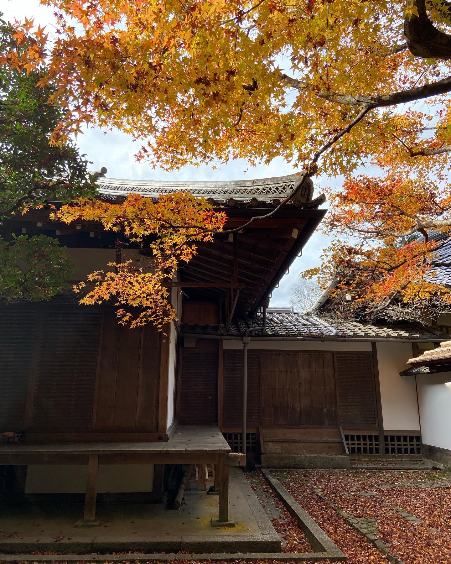法然院の建物と紅葉