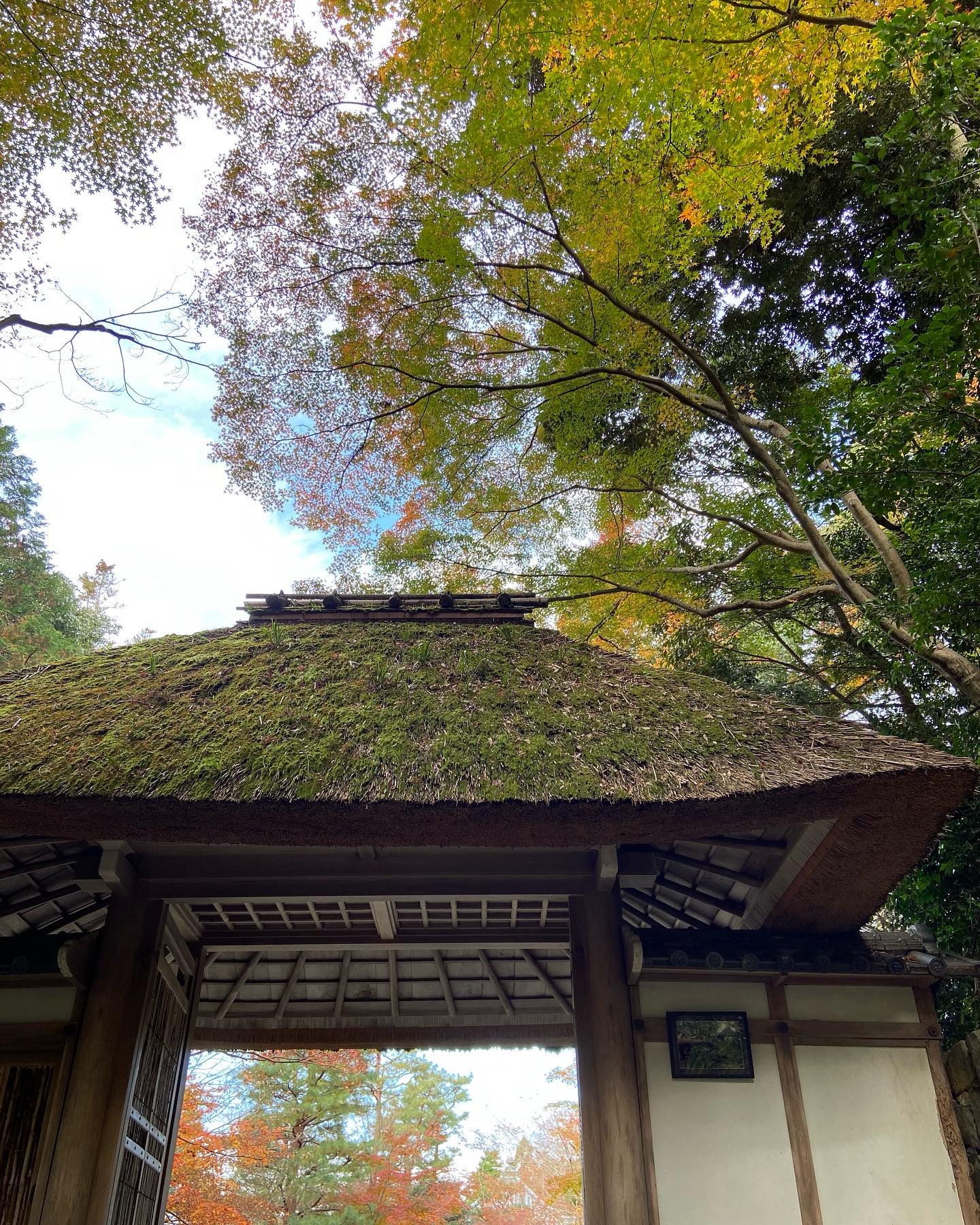 法然院の茅葺きの山門
