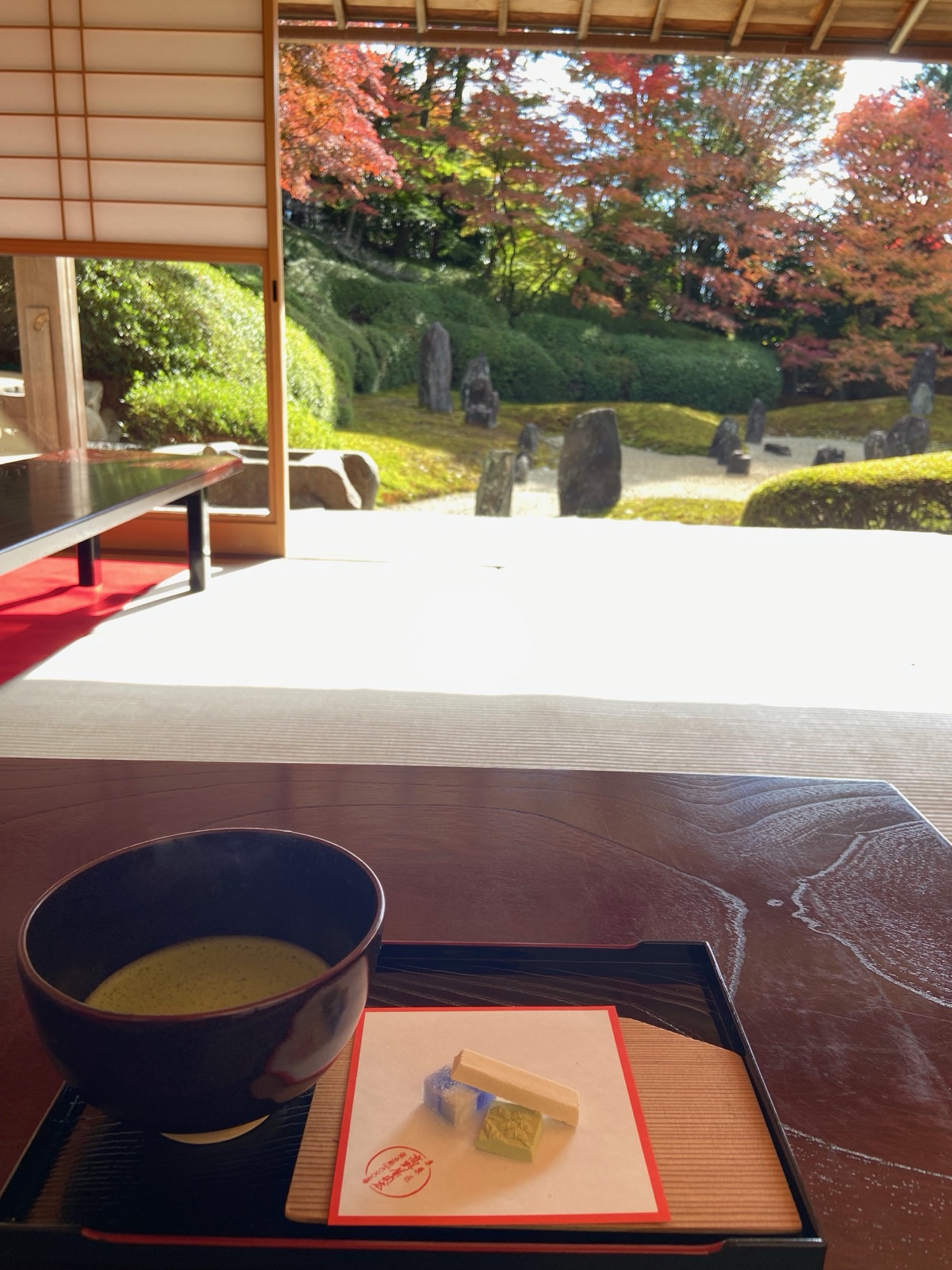 光明院の座敷で、波心庭と紅葉を前にいただいたお抹茶とお干菓子