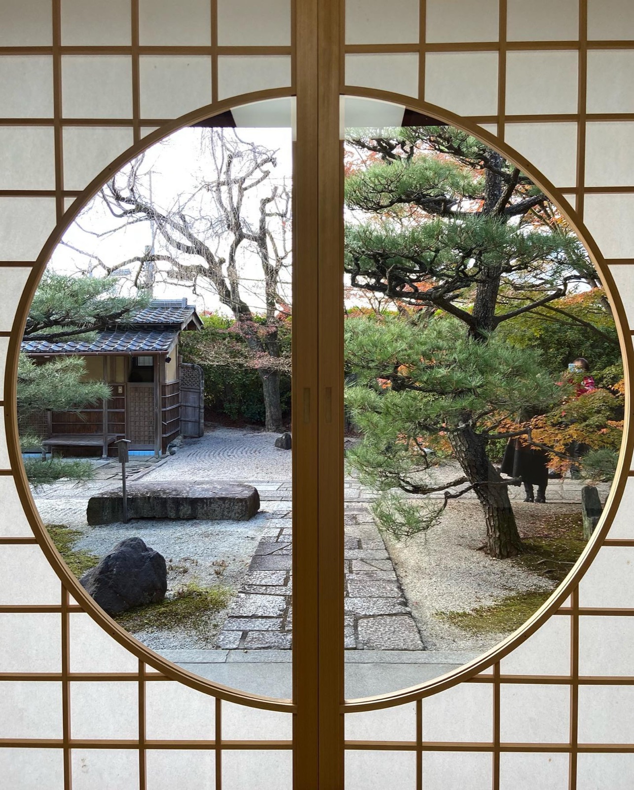 光明院の丸窓から見える庭と松