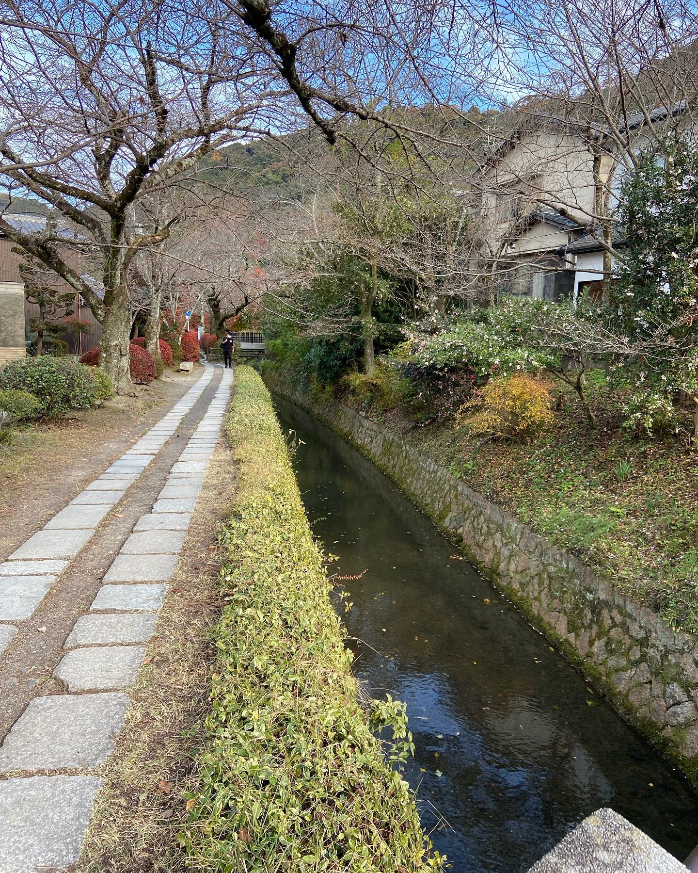 哲学の道の疏水と石畳