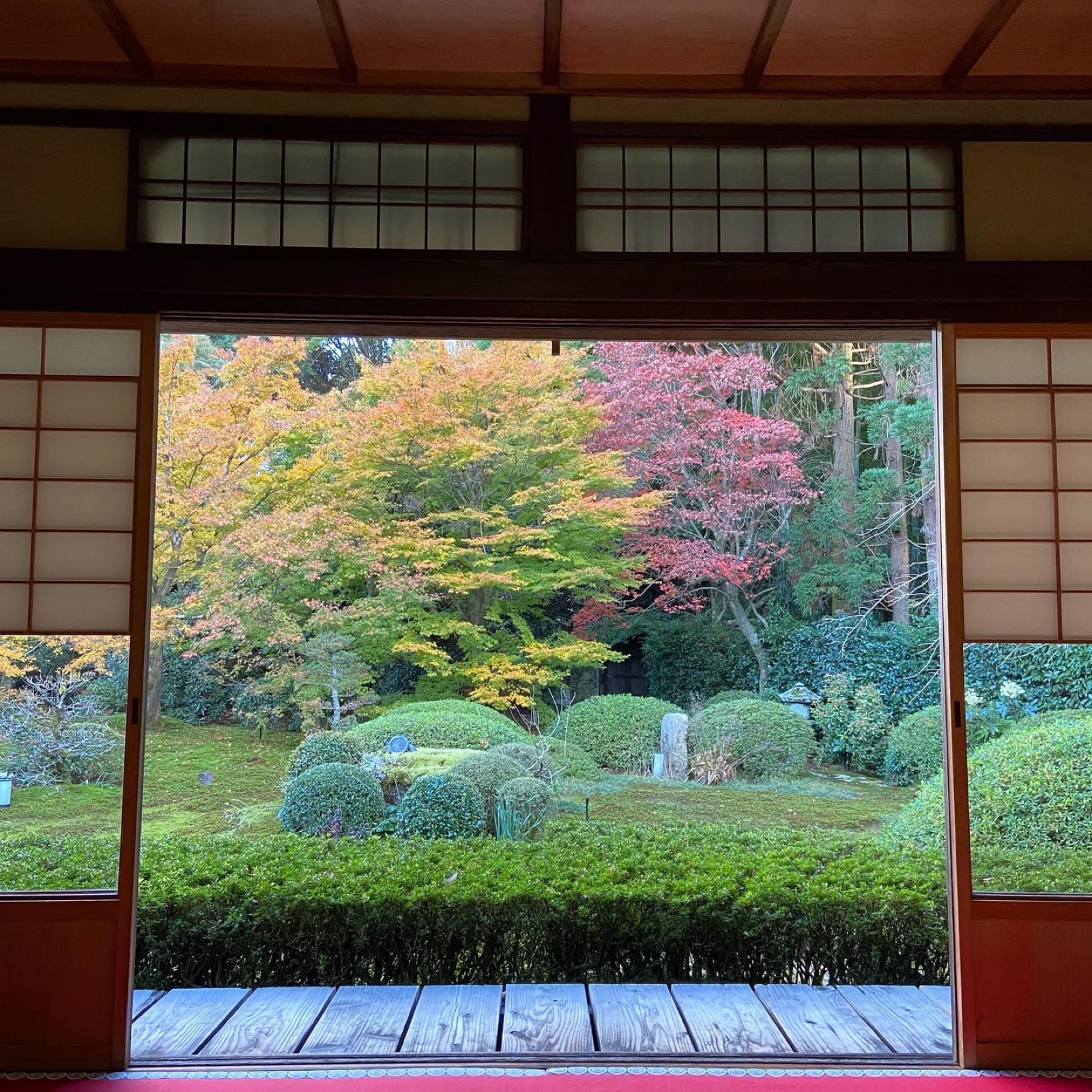 雲龍院の座敷から見る紅葉の庭