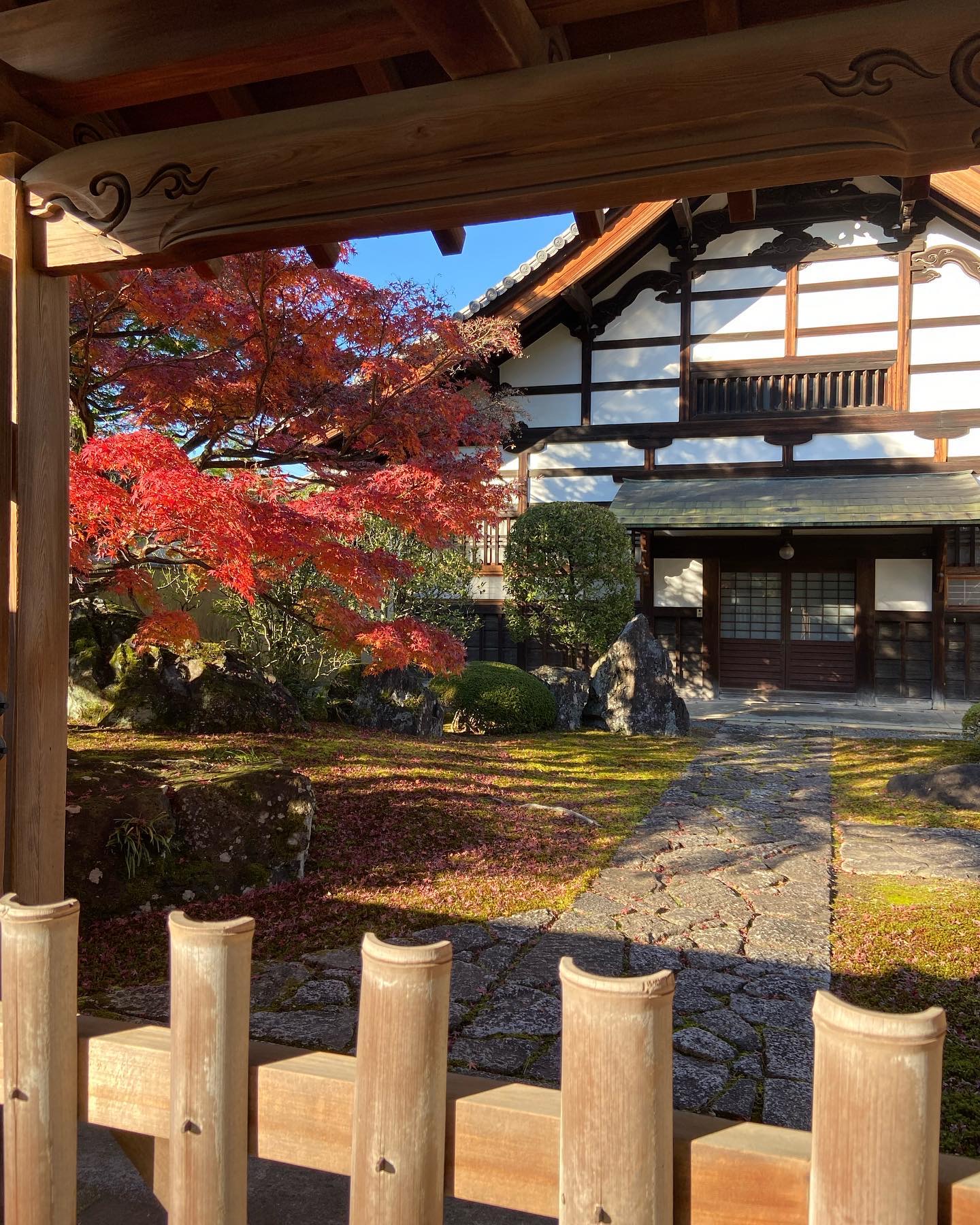 瑞春院の門越しに見える紅葉